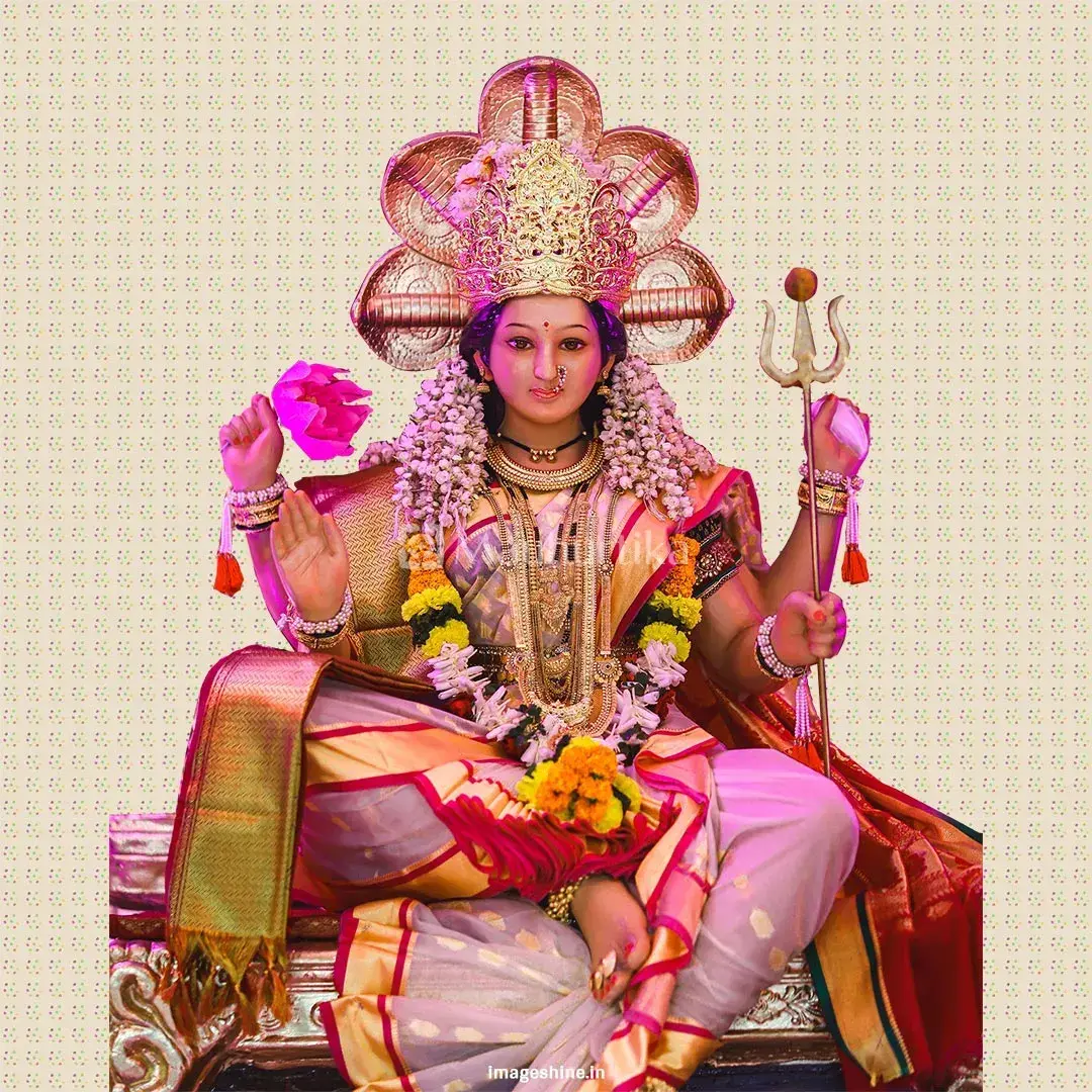 Chandi Homam Puja for Success and Prosperity