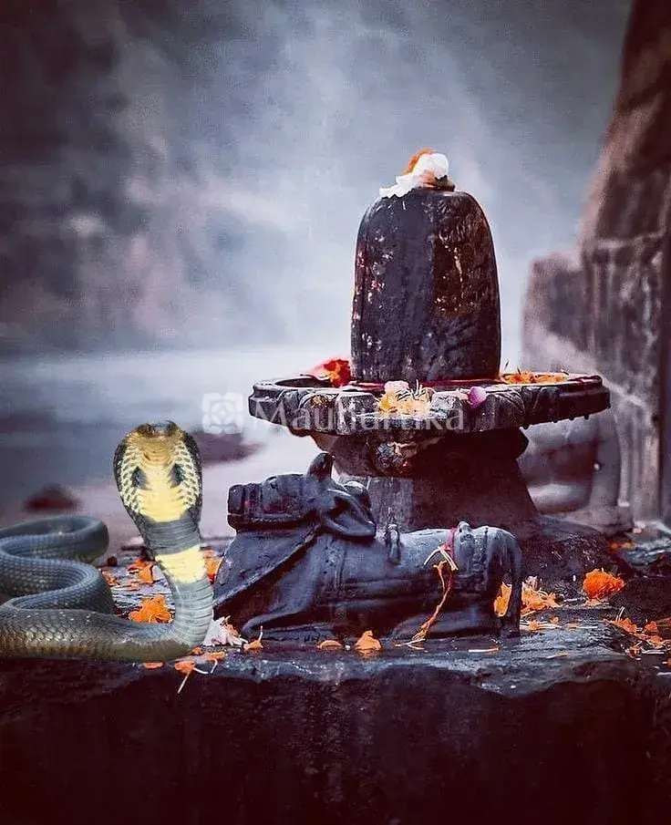 Naag Panchmi Puja for Snake Worship and Blessings