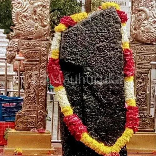 Shani Dev Puja for Divine Blessings